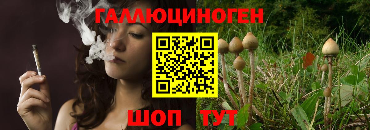 Саратов  купить наркоту  Вход с VPN  Галлюциногенные грибы прущие грибы 