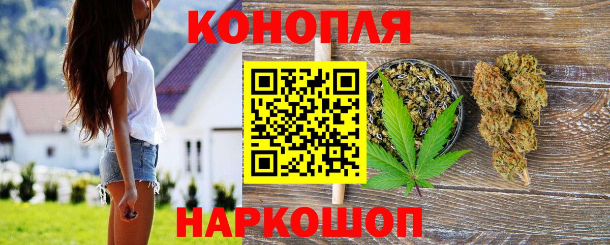 Каннабис конопля Саратов